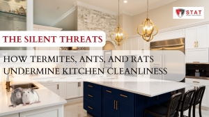 The Silent Threats: How Termites, Ants, and Rats Undermine Kitchen Cleanliness